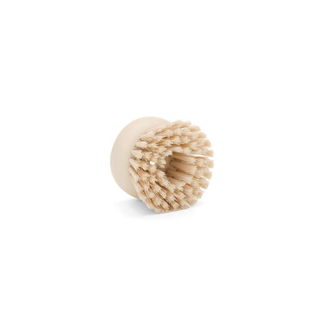 Cepillo para platos de repuesto SinkSide Set de 2 Beige